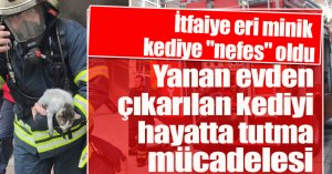 Yanan evden çıkarılan kediyi hayatta tutma mücadelesi