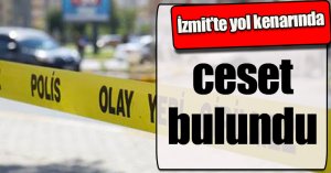 İzmit’te yol kenarında ceset bulundu