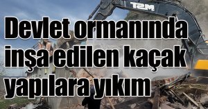 Devlet ormanında inşa edilen kaçak yapılara yıkım