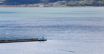 Sapanca Gölü'nden sevindiren haber: Göl seviyesi 32 metre oldu