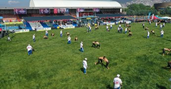 15. Sekapark Altınkemer Yağlı Güreşleri başladı