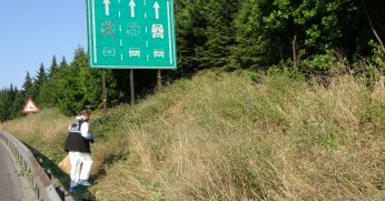 Tem Otoyolu’nun Kocaeli geçişinde yeşillik alanda çürümüş ceset bulundu