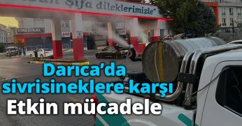 Darıca’da sivrisineklere karşı etkin mücadele