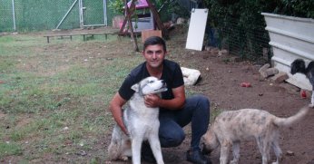 Sokak hayvanlarının kahramanı