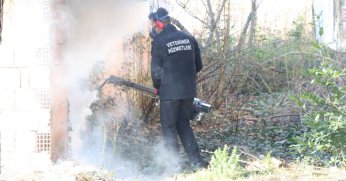 Kocaeli'de 800 bin metrekare alan ilaçlandı