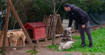 Başiskele’de her canlı MUTLU OLACAK