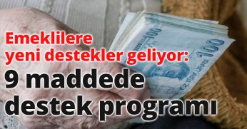 9 maddede destek programı
