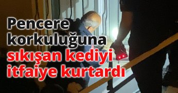 Pencere korkuluğuna sıkışan kediyi itfaiye kurtardı