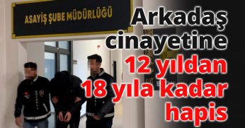 Arkadaş cinayetine 12 yıldan 18 yıla kadar hapis talebi