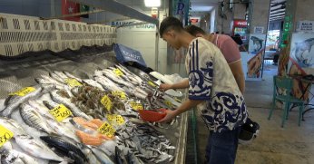 En çok tüketilen balık sardalya oldu