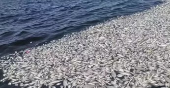 İzmir'deki felaket için ilk ceza kesildi!