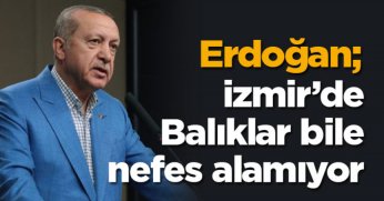 Erdoğan'dan sert tepki: İZMİR'DE BALIKLAR BİLE NEFES ALAMIYOR