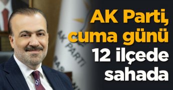 AK Parti, cuma günü 12 ilçede sahada: