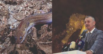 Başkan Büyükakın: 