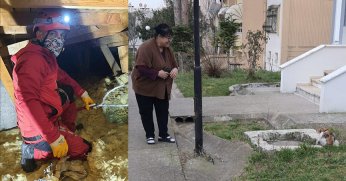 Çatıda 10 gündür mahsur kalan kediyi kurtardılar