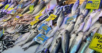 Kar yağışı balığın fiyatlarını nasıl etkiledi?