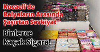 Kocaeli'de Balyaların Arasında Şaşırtan Sevkiyat: Binlerce Kaçak Sigara!