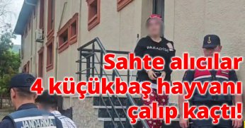 Jandarma yakaladı!