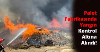 “Alev Alev: Çayırova’daki Palet Fabrikasında Korkutan Yangın Kontrol Altında”