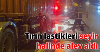 TEM'de seyir halinde olan tırın lastikleri alev aldı
