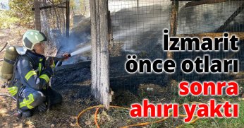  İzmarit önce otları, sonra ahırı yaktı