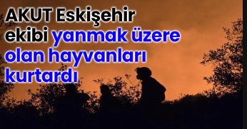 AKUT Eskişehir ekibi yanmak üzere olan hayvanları kurtardı