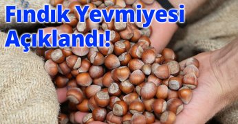 Fındık Yevmiyesi Açıklandı!