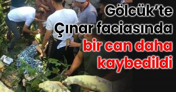  Gölcük’te Ağaç Faciasında Bir Can Daha Kaybedildi