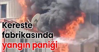 Kereste fabrikasında yangın paniği
