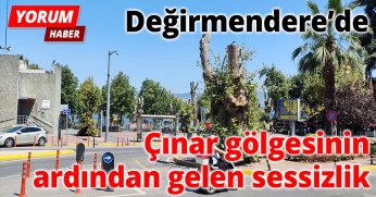Değirmendere’de Çınar Gölgesinin Ardından Gelen Sessizlik