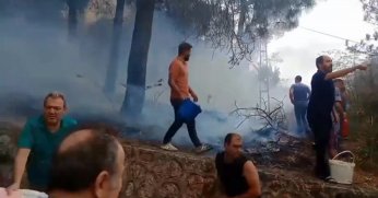 Mahalleli birlik oldu, orman yangınına kovalarla müdahale etti