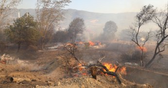 CHP İl Başkanı Sarı ve Belediye Başkanı Çalık Bölgeden Takipte