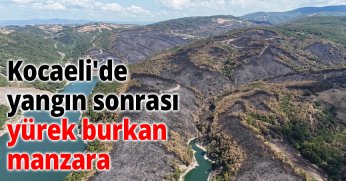 Kocaeli'de yangın sonrası yürek burkan manzara