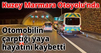 Kuzey Marmara Otoyolu’nda otomobilin çarptığı yaya hayatını kaybetti