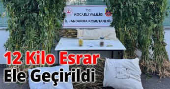 Kocaeli’de Jandarmadan Uyuşturucu Operasyonu