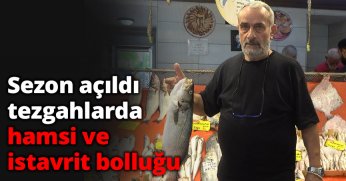Sezon açıldı, tezgahlarda hamsi ve istavrit bolluğu