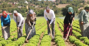 Kocaeli’de tarıma 1 milyar TL’lik destek