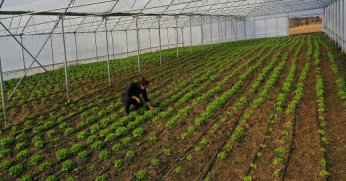 Büyükşehir’den çiftçilere modern sera desteği