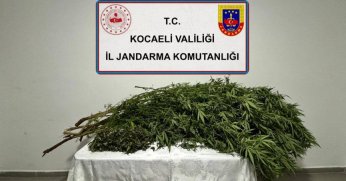 Kocaeli Jandarmasından uyuşturucuya darbe! 