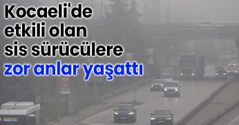 Kocaeli'de etkili olan sis sürücülere zor anlar yaşattı