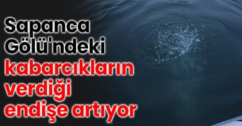 Sapanca Gölü'ndeki kabarcıkların verdiği endişe artıyor