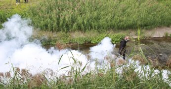 Sinekle mücadele sonbaharda da hız kesmiyor