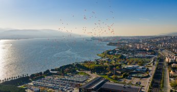 Turuncu balonlarla kadına şiddete ‘dur’ mesajı