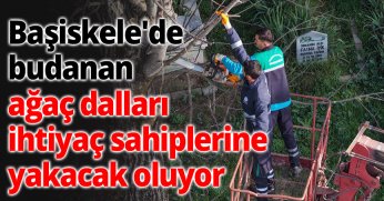 Başiskele'de budanan ağaç dalları ihtiyaç sahiplerine yakacak oluyor