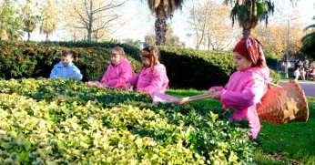 Minikler yerli üretimi uygulayarak keşfetti