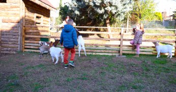 Hayvanlar ile özel çocukların kurduğu iletişime eğitimciler bile şaştı kaldı