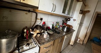 Kapı açılınca karşılaşılan manzara şoke etti