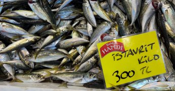 Denizlerdeki durgunluk tezgaha yansıdı