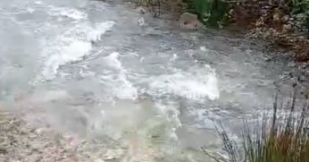 Çöp tesisi planlanan bölgede su kaynakları akıyor!