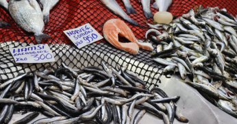 Bu sezon deniz sustu!” 